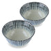 Mino Ware Sendan Tokusa Rim Rice Bowls Set of 2-12 fl oz, 6 inch