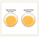 Seki Suncraft Egg Mix Stick Yellow