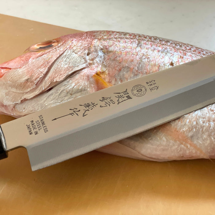 Seki Japan TSUBAZO Yanagiba Knife 300 mm (11.8 in) Sushi Chef Knife, Stainless Steel Sashimi,